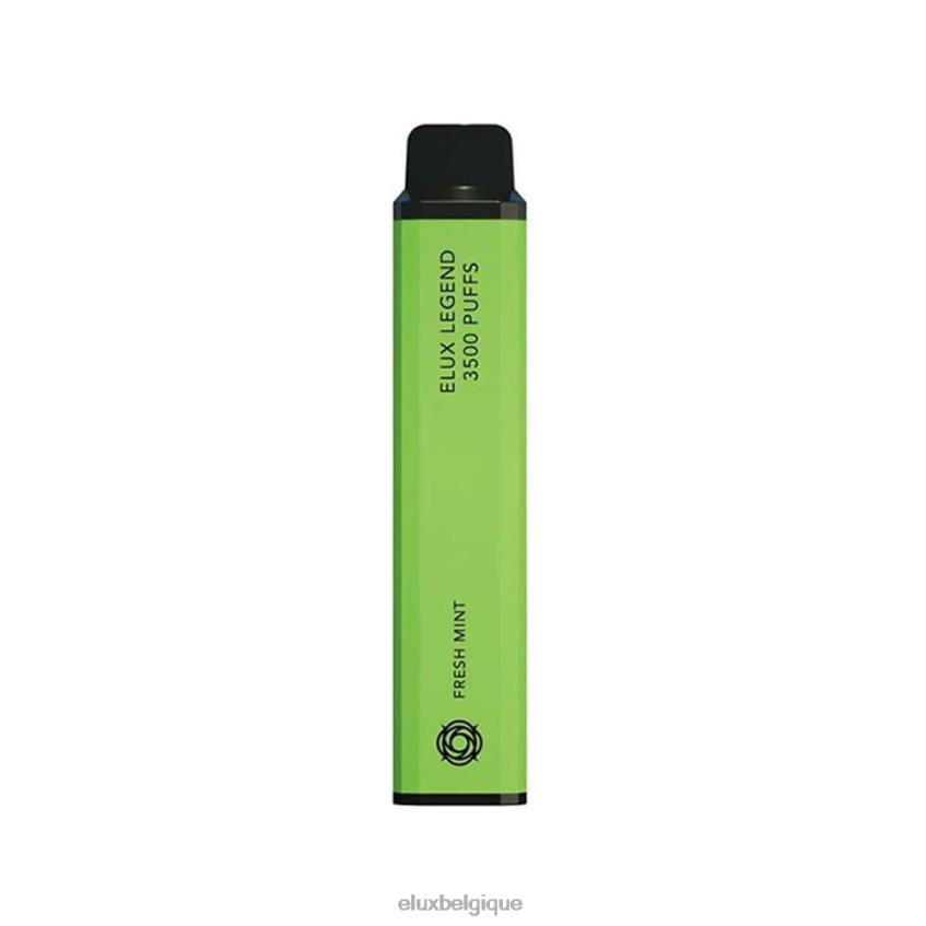 menthe fraîche